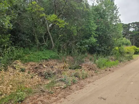 Terreno en Venta en Carilo, USD 85.000