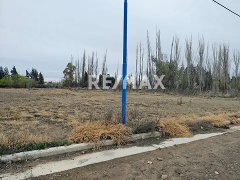 Terreno en Venta en General Roca, USD 27.000