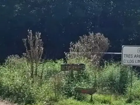 Av El parque km 0,4 (camino al cerro Los Linderos) 100