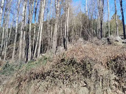 Av El parque km 0,4 (camino al cerro Los Linderos) 100