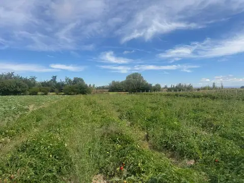 Terreno en Venta en Barrancas, USD 135.000