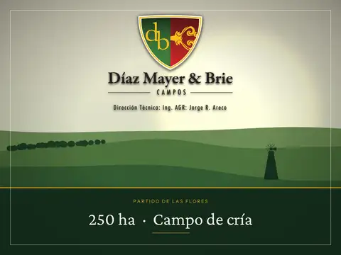 Campo en venta a 30km de la ciudad de Las Flores