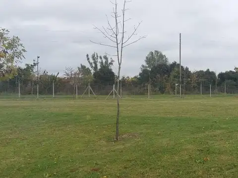 Venta Terreno 508m2 San Eduardo Pilar del Este