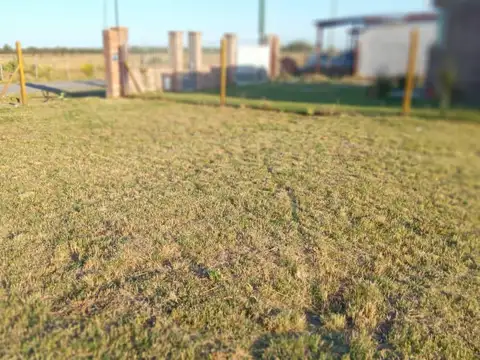 Altos de Piñero