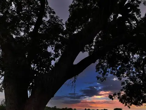 Avenida Rissione 3500