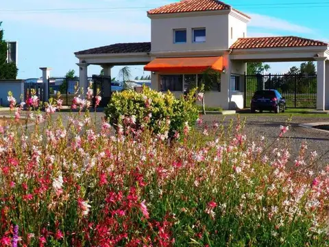 AO 12 y RUTA 18