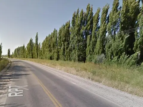 Chacra en venta - 3 Galpones - 40.000Mts2 - Neuquén