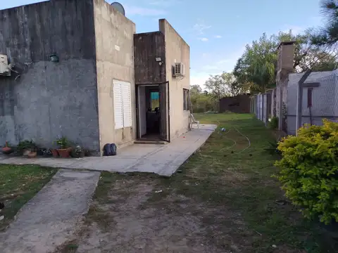 Los Gorriones 100