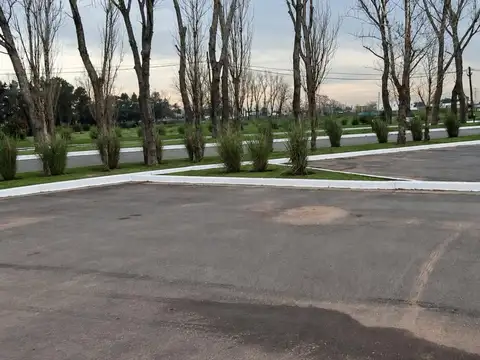 Terreno en Venta de 1242,0 m2