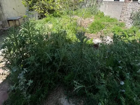 Depto Tipo Casa en Venta en Monte Castro, USD 76.000