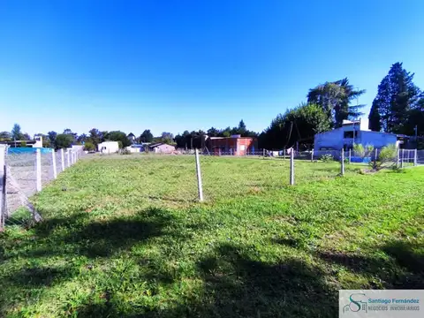 Mario Victor Nivoli 100