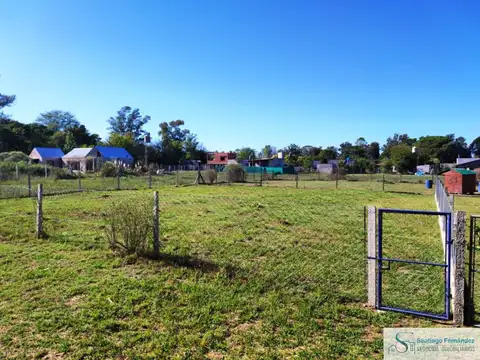 Mario Victor Nivoli 100