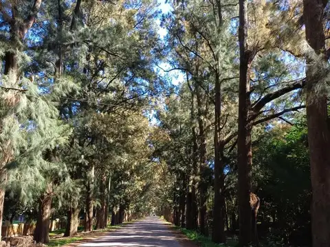 Terreno en Venta en La Plata, Partido de La Plata