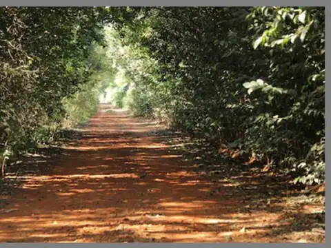 Panamericana km. al 69500