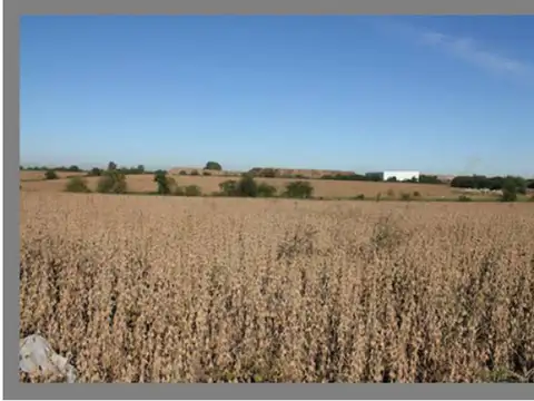 Terreno en Venta en Campana, USD 5.120.000