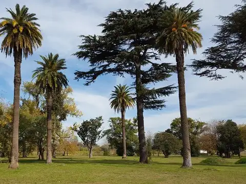 Venta Lotes en barrio privado Saint Joseph