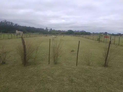 Terreno en Venta en Colonia Carolina, USD 11.900