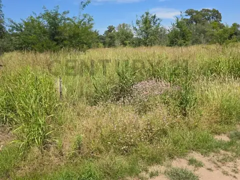 Villa Esquiu , Piso 0