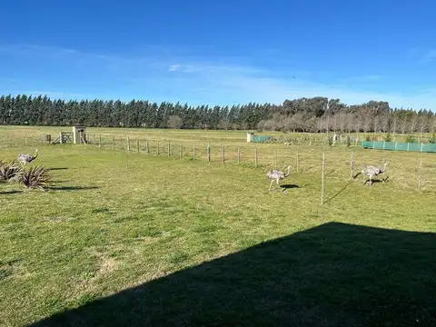 Casa en Venta en Coronel Brandsen, USD 200.000