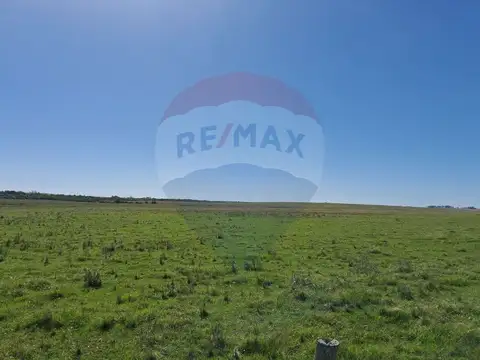 Venta Campo Río Negro - Ganadero Agrícola 350 has