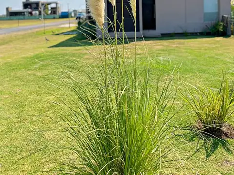 Terreno en Venta 30  mts Fondo