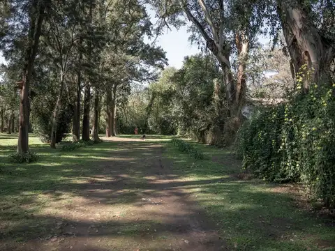 Terreno en Venta de 664,0 m2