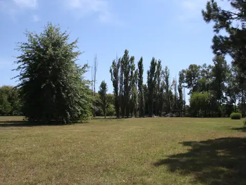 Terreno en Venta de 10000,0 m2