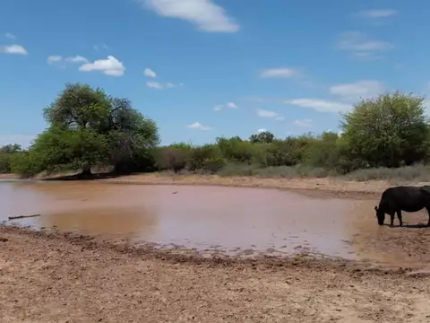 2600 has Chamical, La Rioja Venta de Campo de 2600
