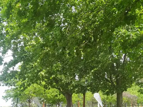 Venta de Lote Reservas del Oeste