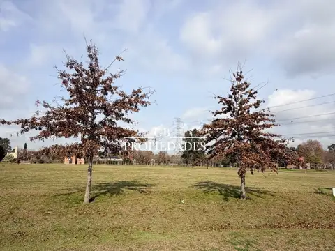 Altos de Campo Grande 3200