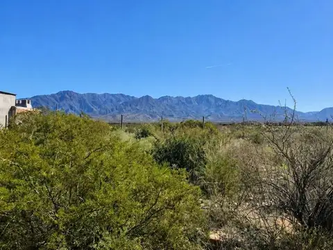Terreno en Venta en Lujan de Cuyo, Luján de Cuyo