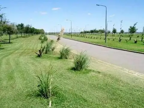 San Sebastian Area 13