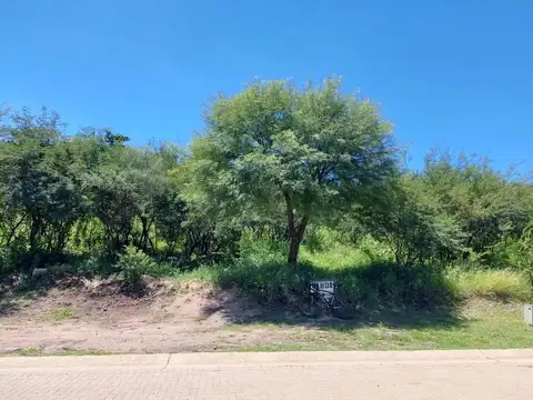 Av Ejercito Argentino