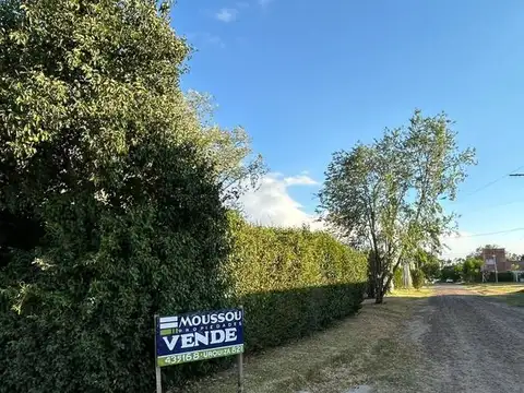 Virgen del Pilar y Doello jurado