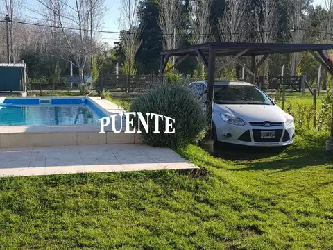 Domselaar Chico Club De Campo Venta