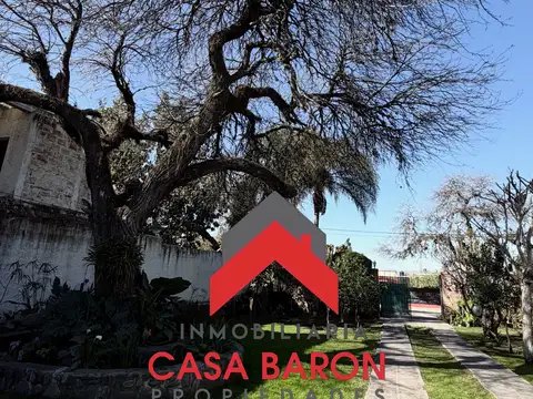 Cerro Rincón 500