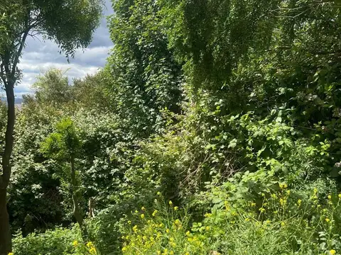 TERRENO EN VENTA EL BOLSON