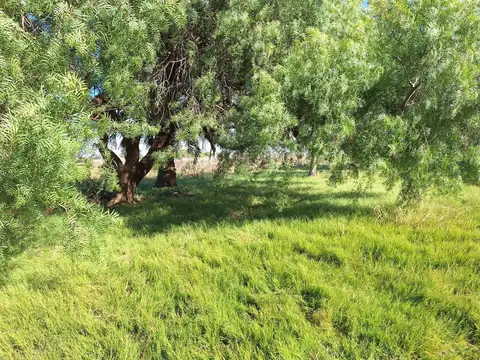 Venta campo 4 Ha 1293 m² con construcción en Pando