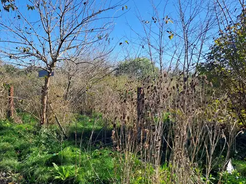 Terreno en Venta en La Reja, USD 38.000