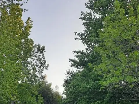 Terreno en Venta de 2810,0 m2