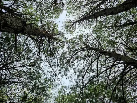 Terreno en Venta de 1500,0 m2