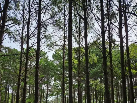 Terreno en Venta en Los Pinares Country Club, USD 45.000