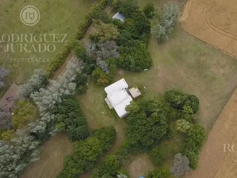 Campo de 49 Ha San Antonio de Areco