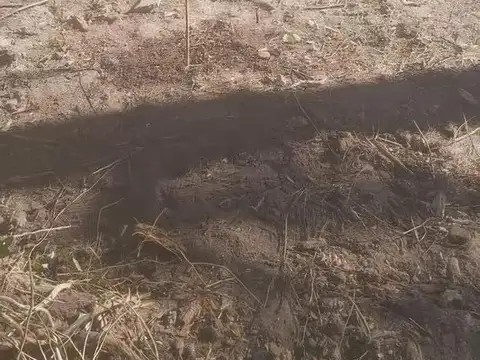 Terreno en Venta 109  mts Fondo