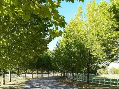 Terreno en Venta de 3060,0 m2