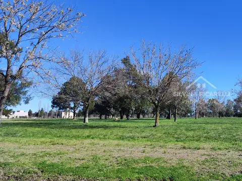 Terreno en Venta en Los Cardales, Partido de Exaltación de la Cruz