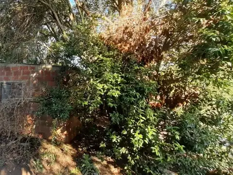 Campo en Venta de 4,20  ha