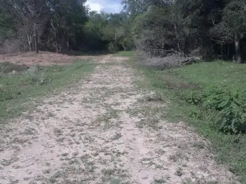 Campo 50 Hectáreas Pcia. Plaza Chaco Cnia. Vieytes