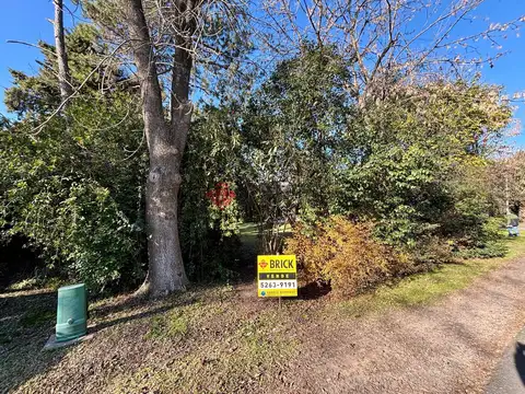 Terreno en Venta 40  mts Fondo