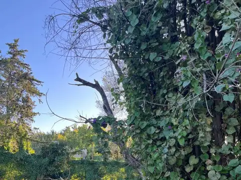 LOTE EN FINCAS DON VICTOR